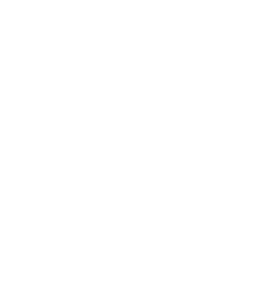 Lone Wolf Technology Logo